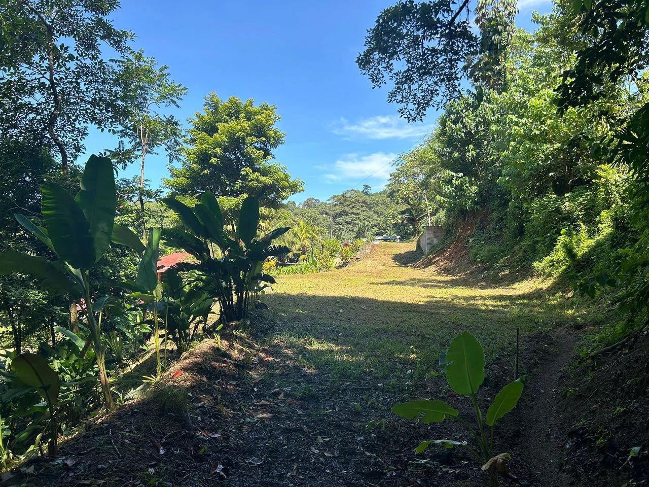 Reasonable Lot for sale in Uvita - Gallery image 5
