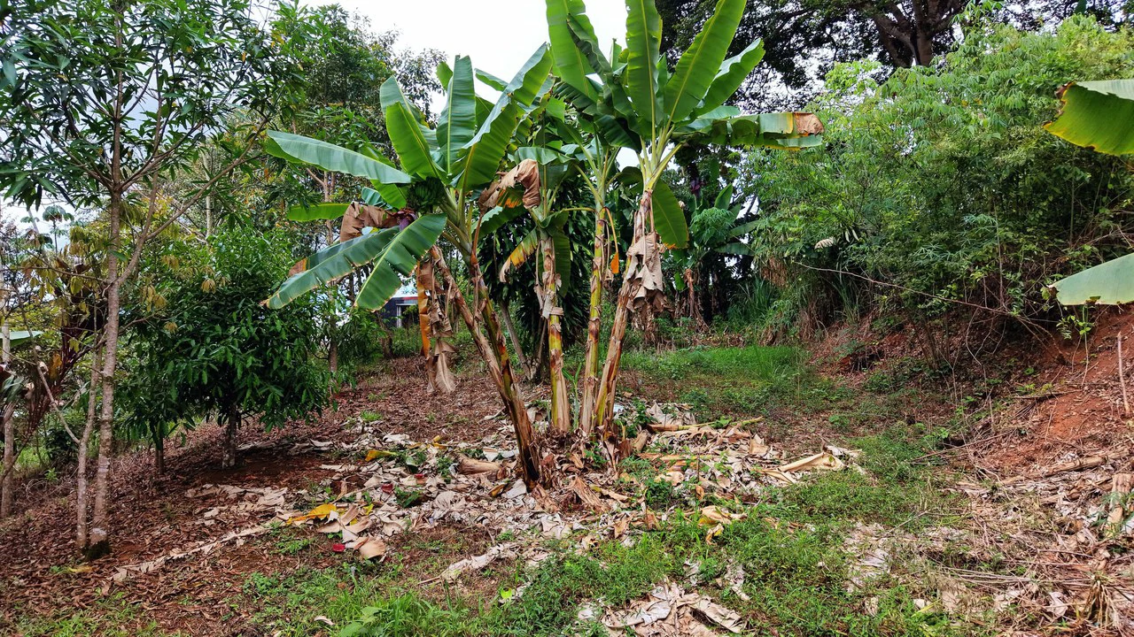 Home Construction Site For Sale in Centro de Pérez Zeledón - Gallery image 17