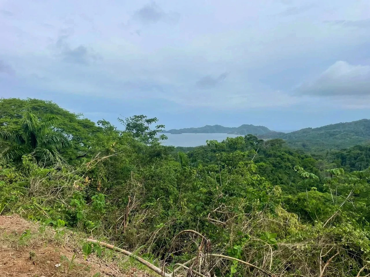 EXCEPTIONAL 5,608 m² (1.39-acre) property: 1.39-Acre Ocean View Property,  Near Paquera & Isla Tortuga - Gallery image 8