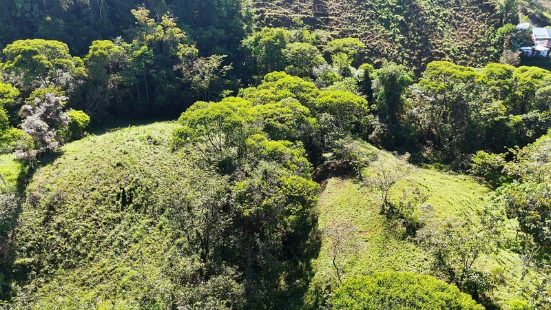 Lote frente a RISE: Mountain Agricultural Land For Sale in El General - Gallery image 6