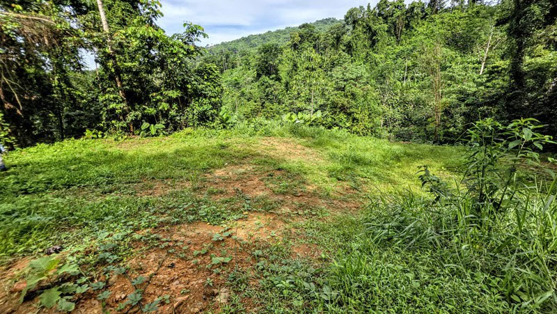 Waterfall Estate, Dos Bocas, Dominical Featuring Twin Waterfalls, Springs, Creeks & Rivers - Gallery image 28