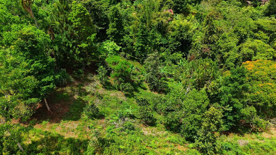 Home Construction Site For Sale in San Rafael Norte - Gallery image 14