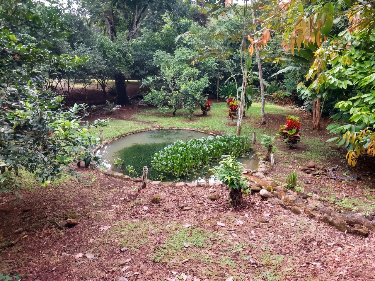 Home Construction Site For Sale in Daniel Flores - photo 3