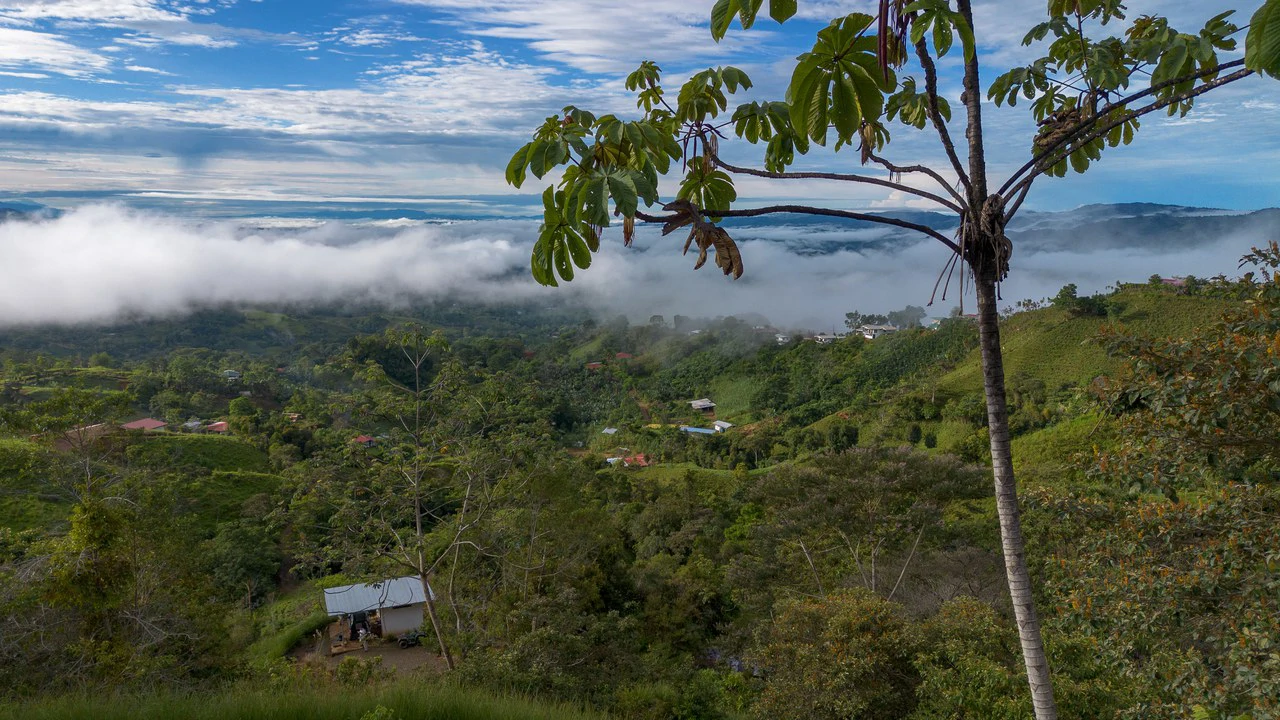 10.21 Acres with Views & Plantels – Pérez Zeledón - Gallery image 23