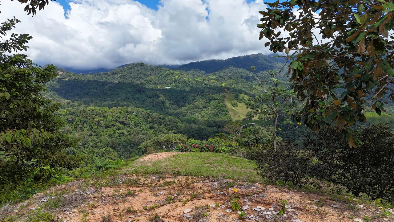 Stunning Ocean, Mountain, and Valley View Property in Tres Rios - Gallery image 19