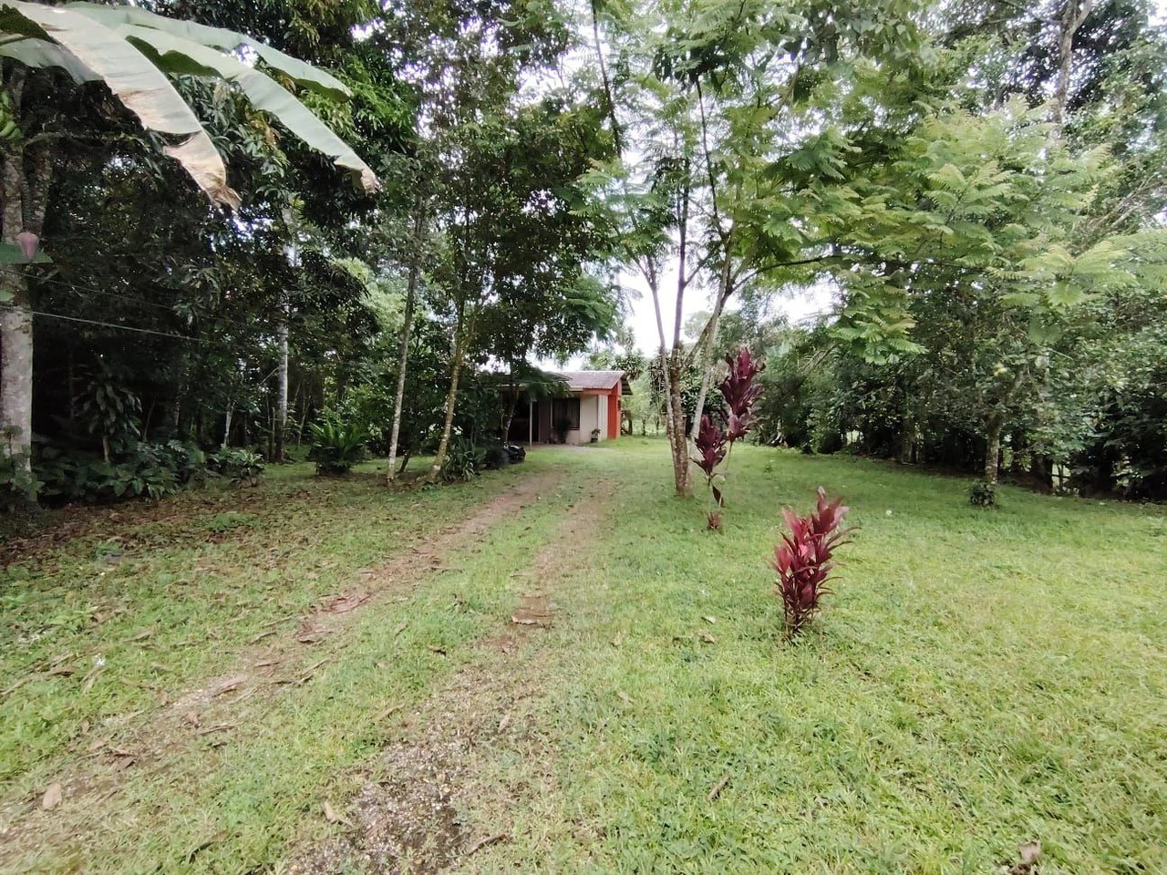 Propiedad en venta, General Viejo, Perez Zeledon.: Mountain House For Sale in General Viejo - Gallery image 10