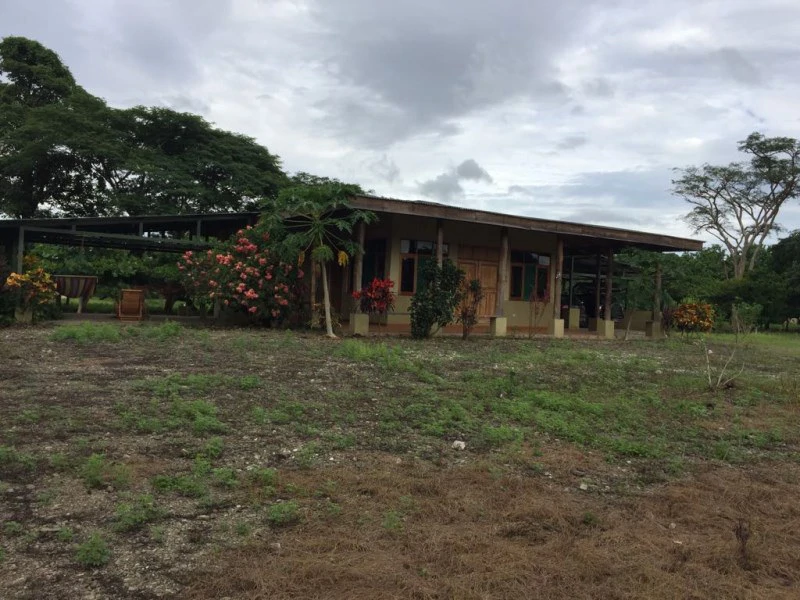 Farm in Nicoya. Reforestation. Cattle Raising. Recreation. - Gallery image 2