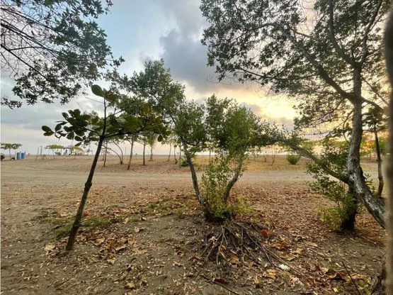 Jaco Luxury Ocean Front Lot - Gallery image 13