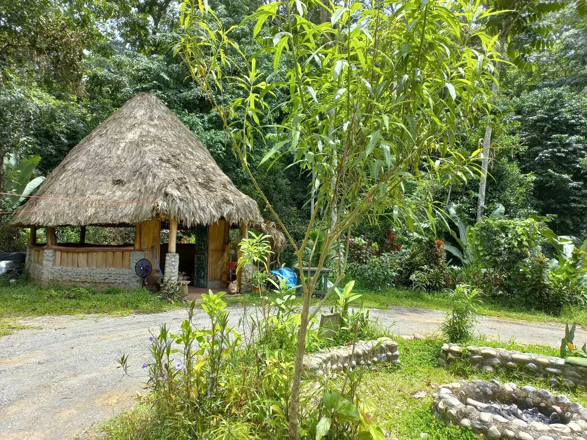 ID 706: Lot 1 - 6,618m² Rustic Retreat Center with Private Waterfall - Gallery image 4