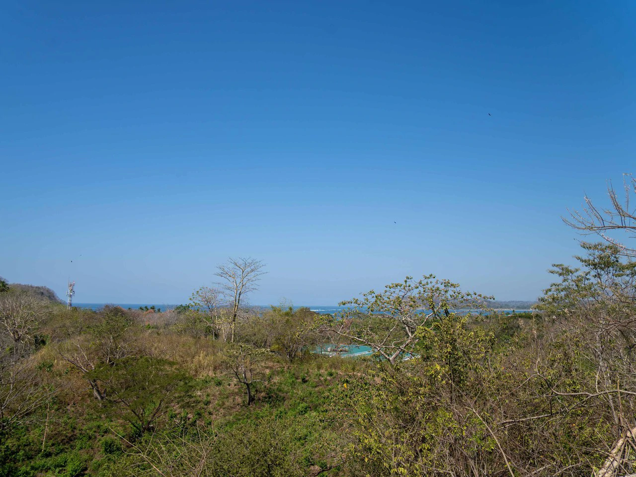 Finca Punta Indio: Dream Investment Opportunity - Gallery image 13