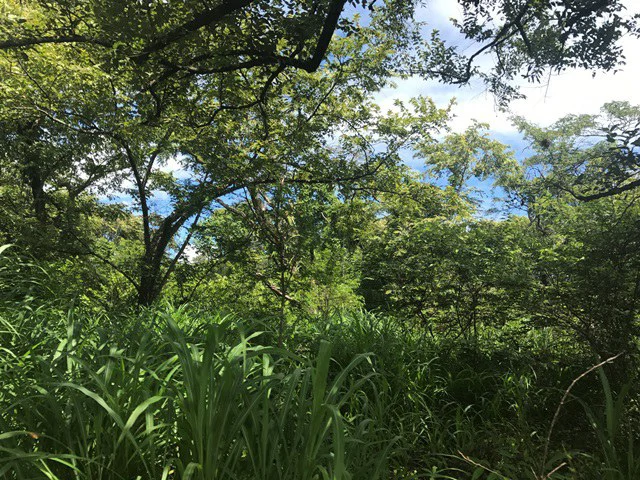 Large Development Land for Sale in Liberia, Guanacaste, Costa Rica - Gallery image 13