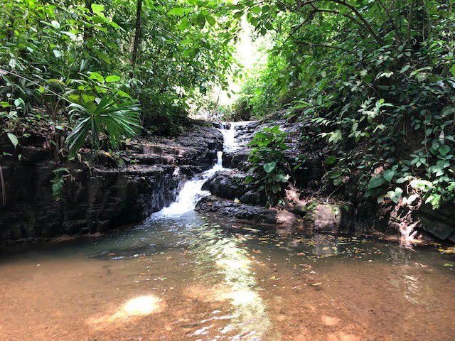 6.5 ACRES – Space To Grow, Build & Thrive, Close To The Beach & Commercial Potential Road Frontage!!!!!: Mountain and Countryside Development Parcel For Sale in Platanillo de Dominical - Gallery image 12