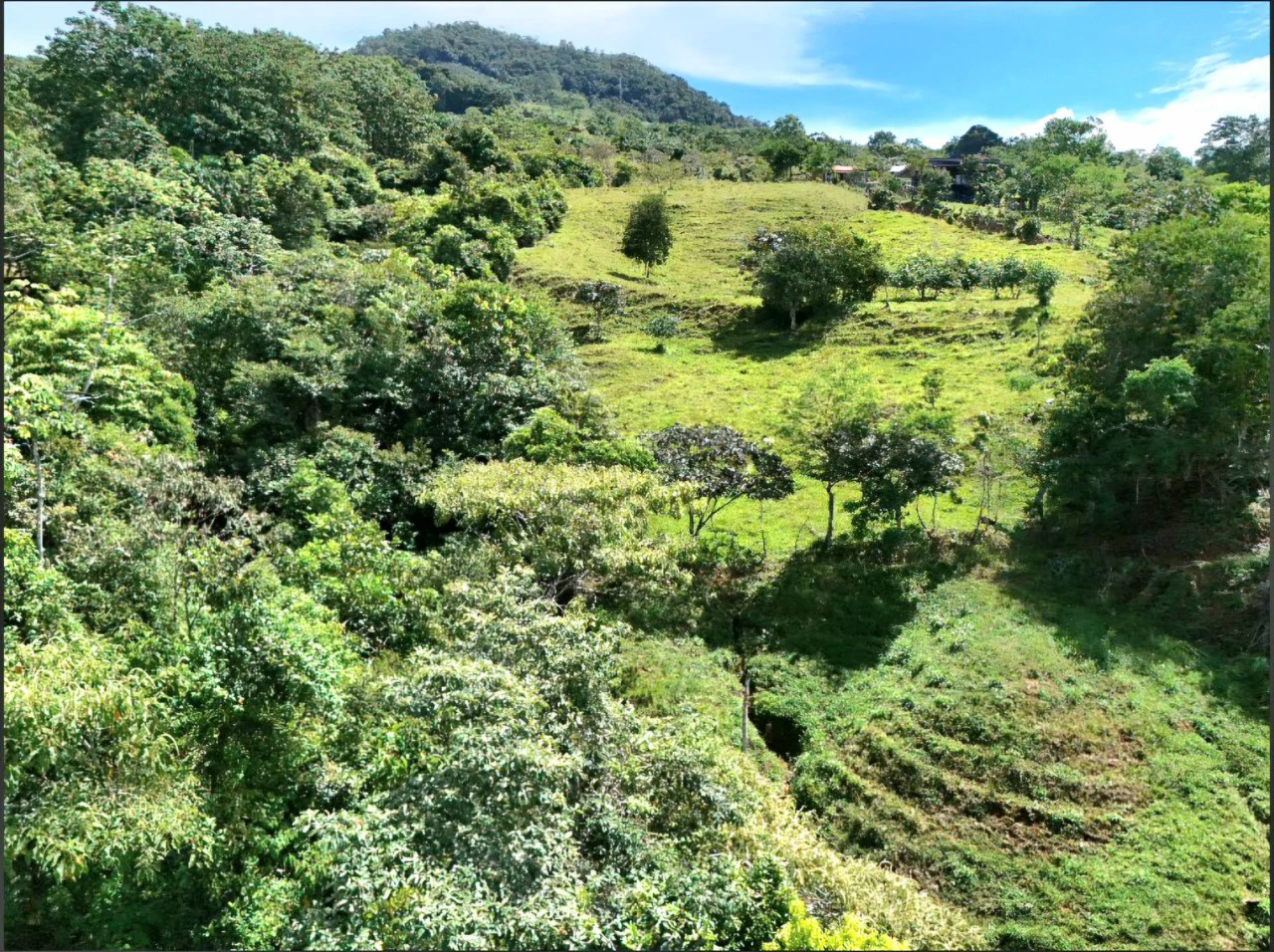 Mountain Home Construction Site For Sale in Miravalles - photo 6