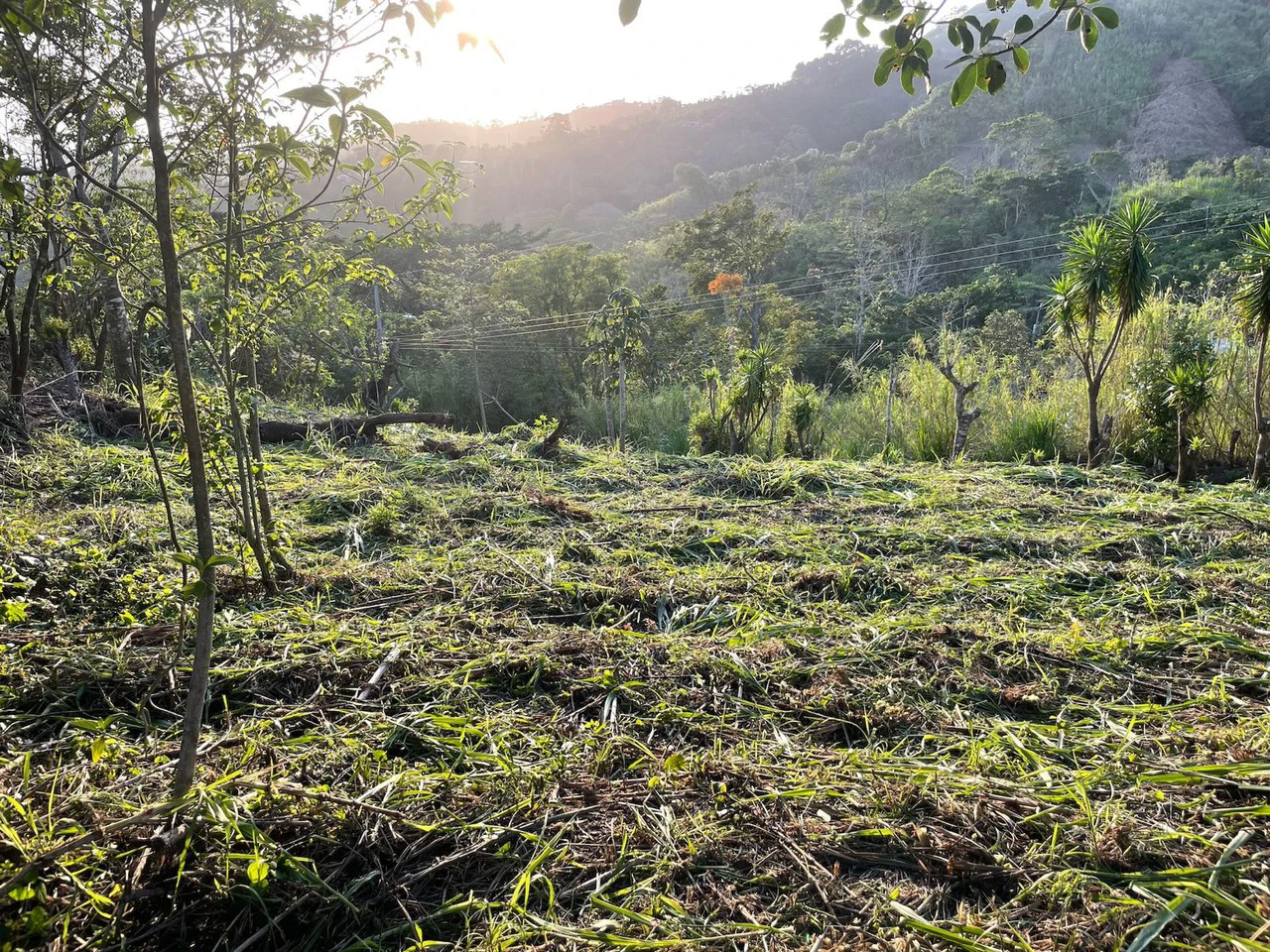 Eco-Lot #15: Ready-to-Build Sustainable Haven with Gulf & Mountain Views - photo 6
