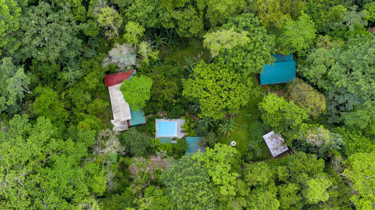 4 Bd/3 Ba - Two Caribbean Homes w/ Pool, on 5000m²: Dual Home Jungle Property in Punta Uva - Gallery image 4