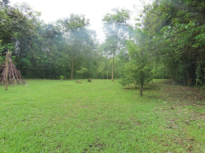 Land For Sale in Dos Brazos, Puerto Jimenez, Ideal For Home Surrounded by Nature - Gallery image 5