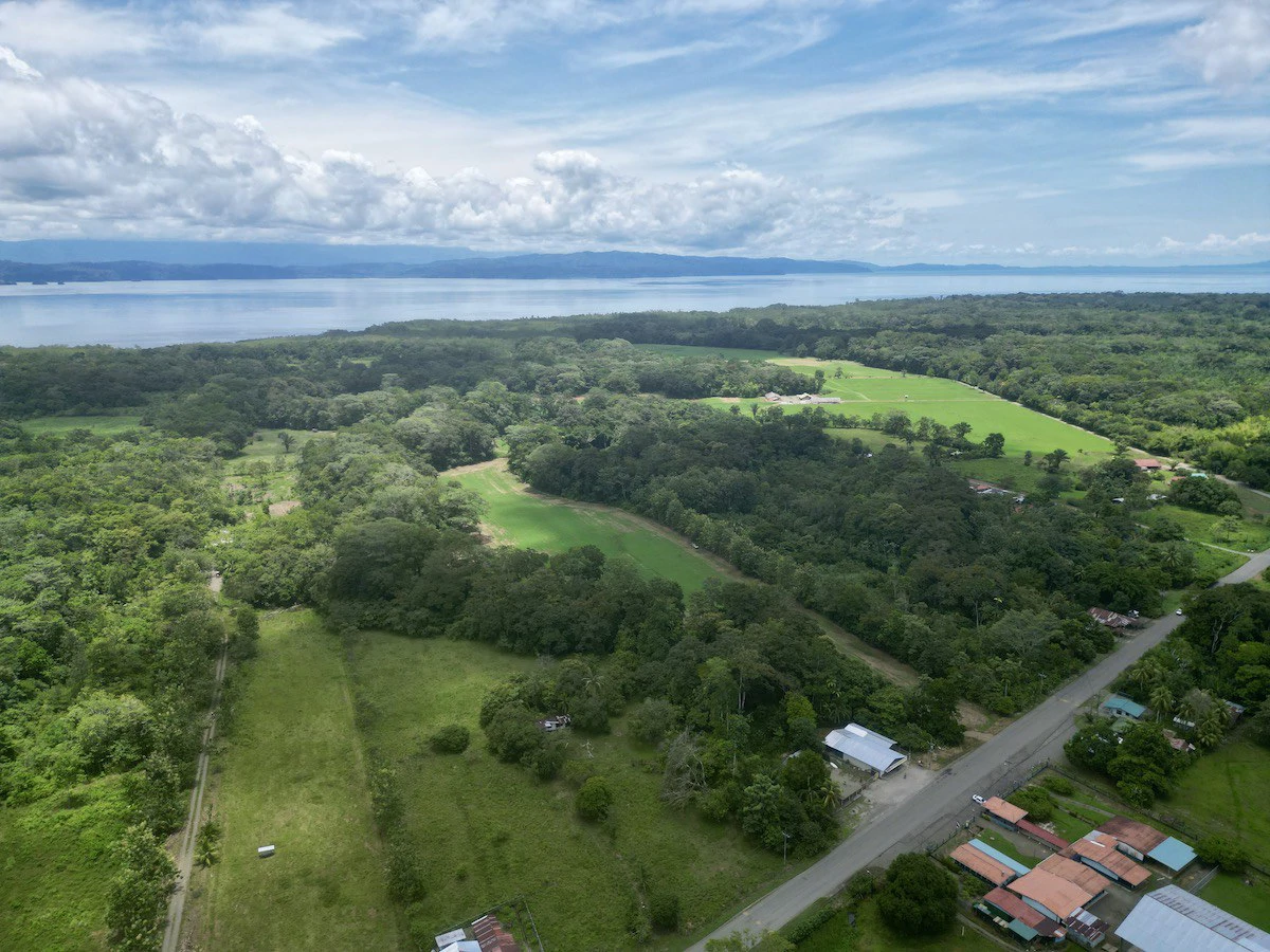 Tropical Farmland 21 Acres