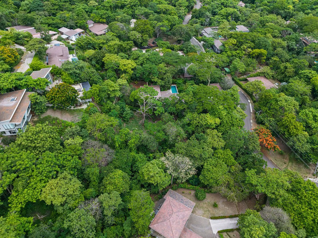 Lot 24 Cara Cara: Exceptional Forest Homesite in Las Ventanas de Playa Grande - Gallery image 6