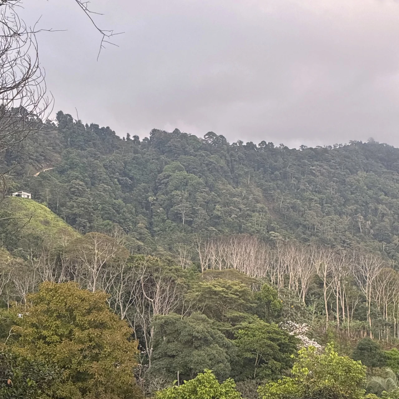 Ocean & Mountain View Lot with Multiple Building Sites-20 Minutes from Uvita - Gallery image 7