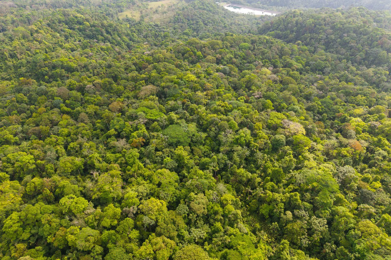 Finca Gran Bijagua: Breathtaking 10-Hectare Mountain Sanctuary in Bijagua, Costa Rica - Gallery image 3