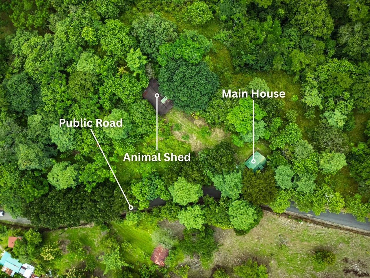 Casa Verde: Your Green Dream - Gallery image 13