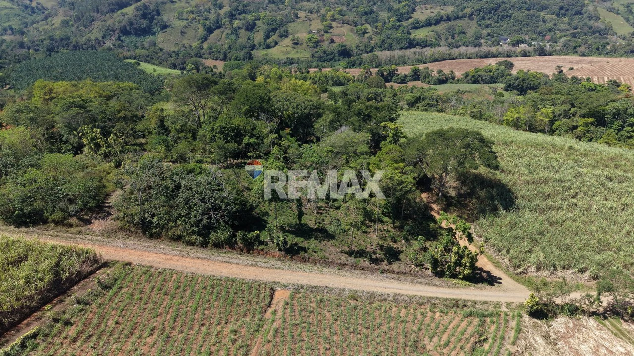 Countryside Home Construction Site For Sale in Cajon - Gallery image 4
