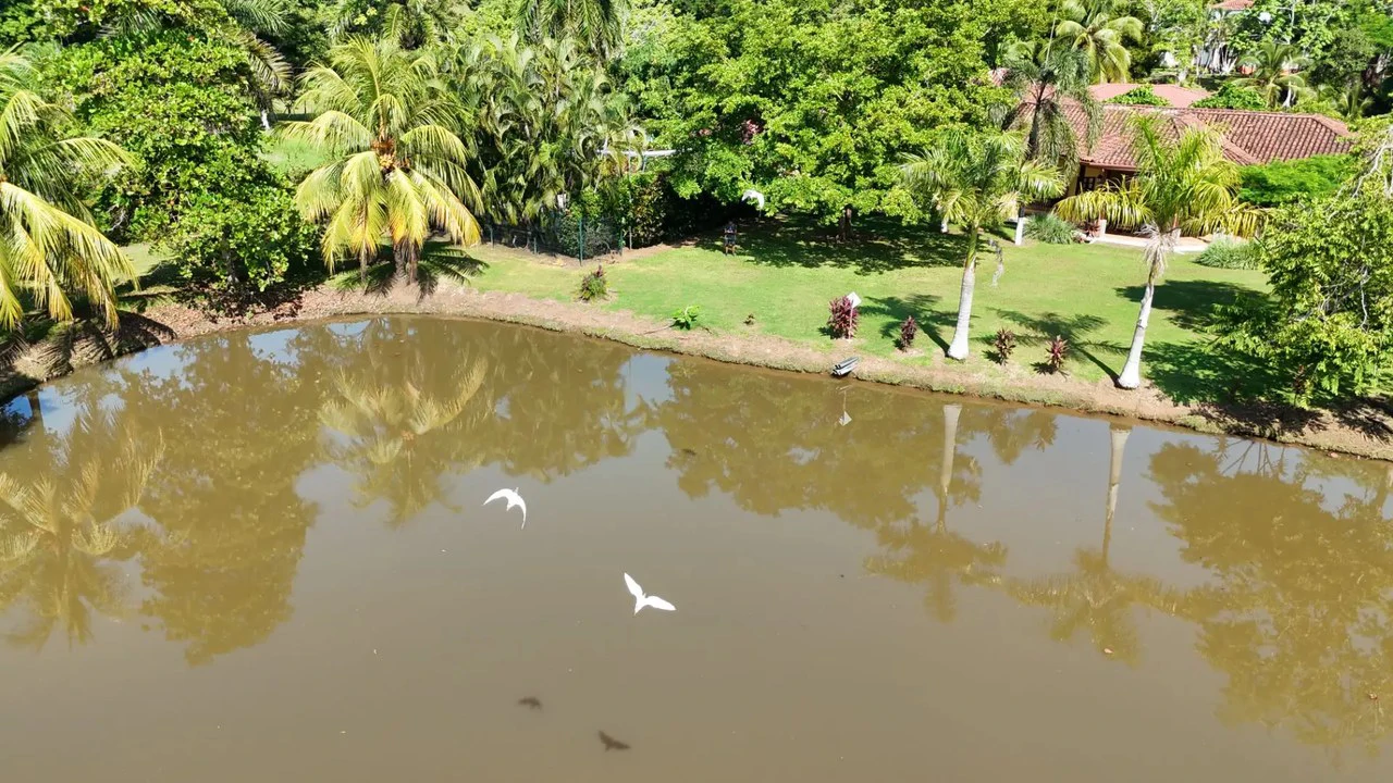 Tropical Luxury Estate with Private Lake, Pool & Prime Location Near Costa Rica’s Best Beaches: Near the Coast House For Sale in Parrita - Gallery image 9