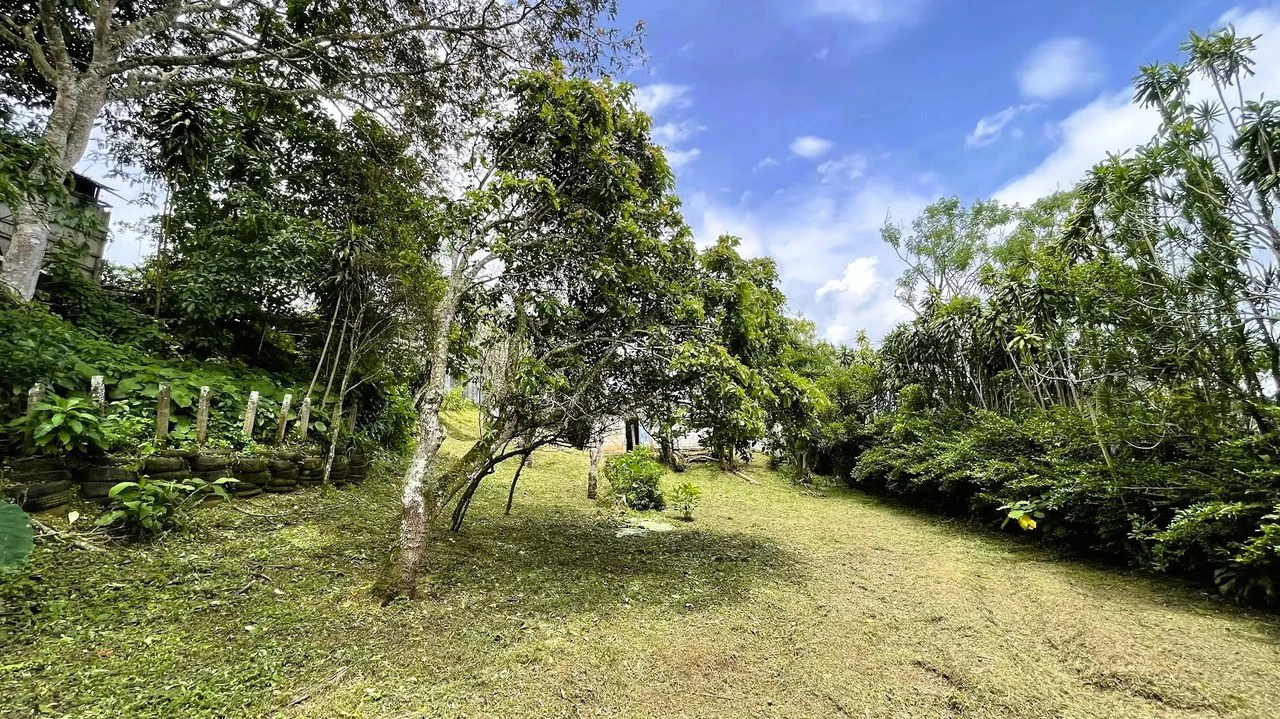 INVESTMENT: HOUSE & LARGE LOT IN SAN ISIDRO, SAN RAMON: House For Sale in San Ramón - Gallery image 5
