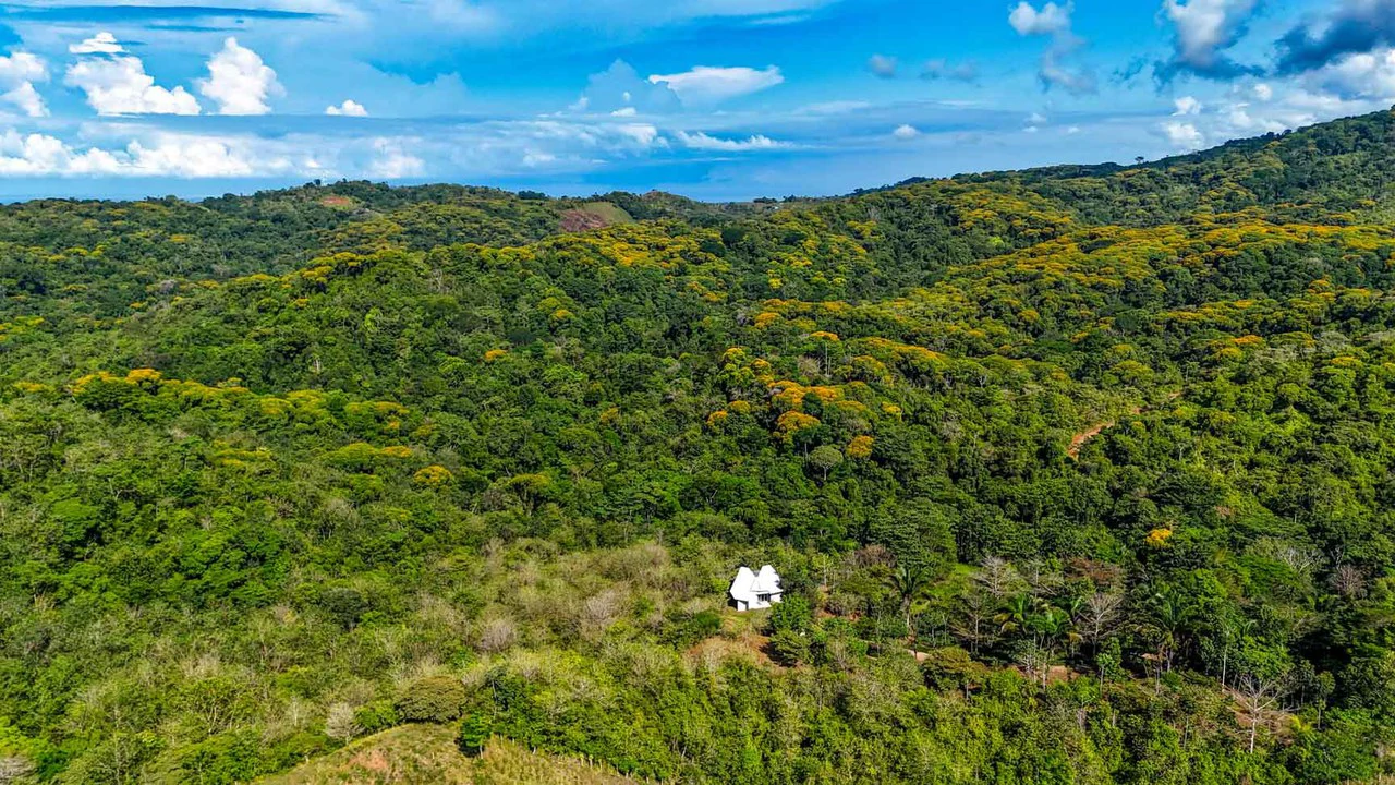 32 Acre Self Sustainable Farm with House Close Ojochal - Gallery image 46