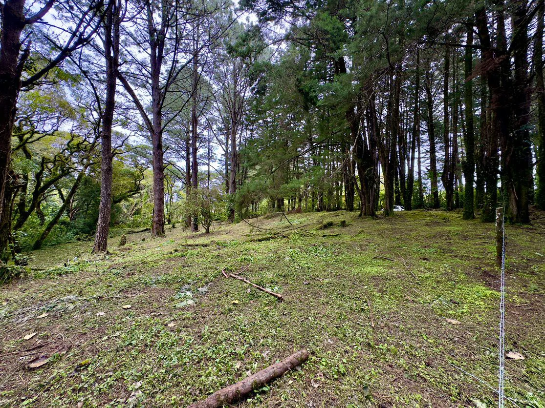 Live in harmony with nature in San Rafael de Heredia - Gallery image 15