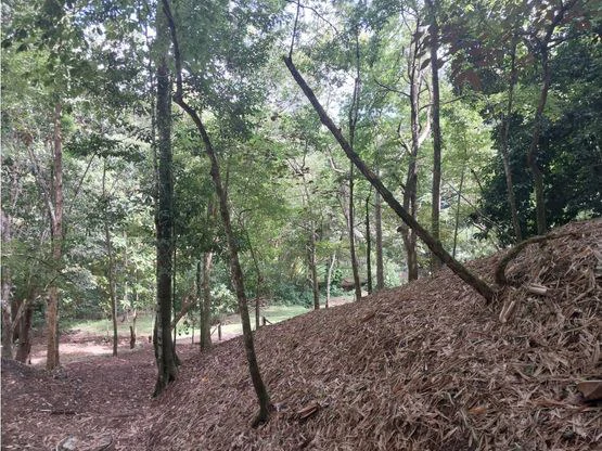 Home Construction Site For Sale in Jacó - Gallery image 14
