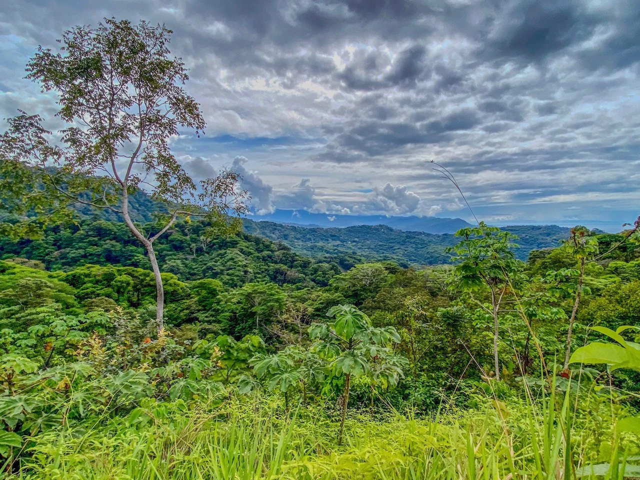 24.46 ACRES- Ocean And Mountain View Land, 4 Building Areas, Legal Water, Public Road, 20min From Beaches!!! - Gallery image 6