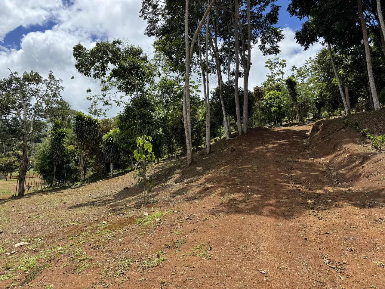Prime 40,000 Sq. Ft. Building Lot with Mountain & Valley Views in Pérez Zeledón - Gallery image 11