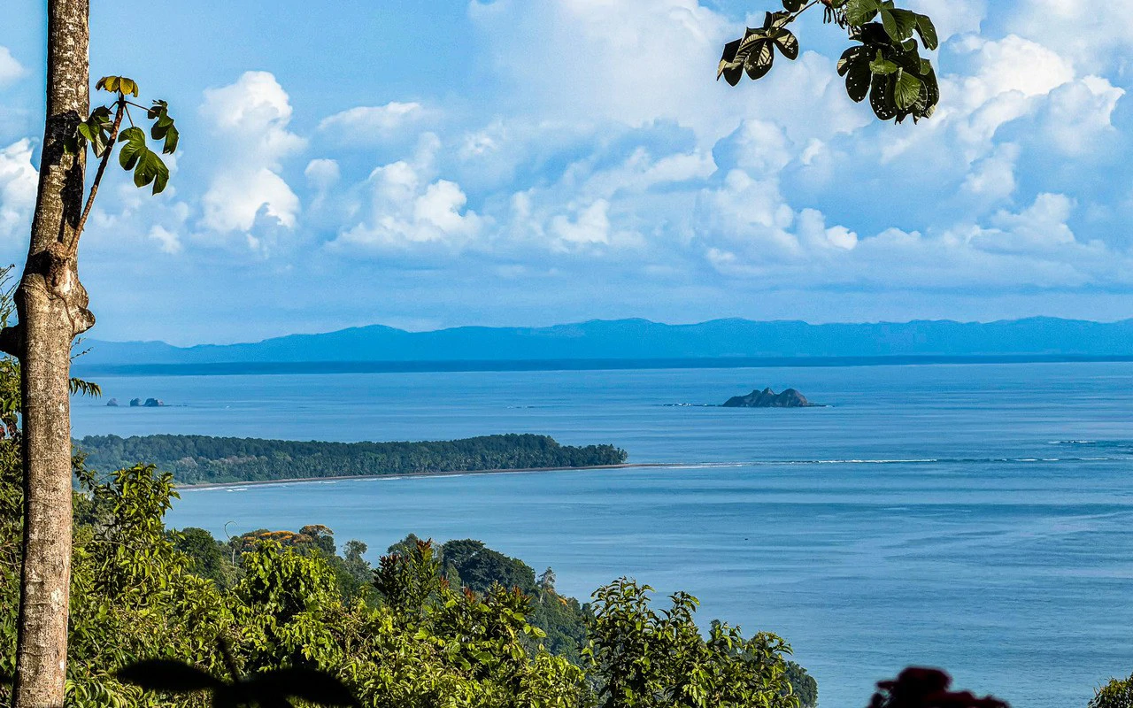 Whale's Tail Ocean View Estate with Extra Lot in Between Uvita and Dominical - Gallery image 29