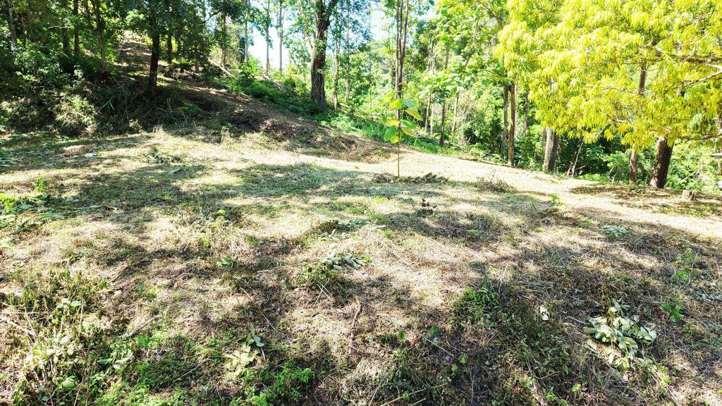 Lote Budry: Exclusive Elevated Lot with Stunning Mountain & Jungle Views Near Samara Beach - Gallery image 8