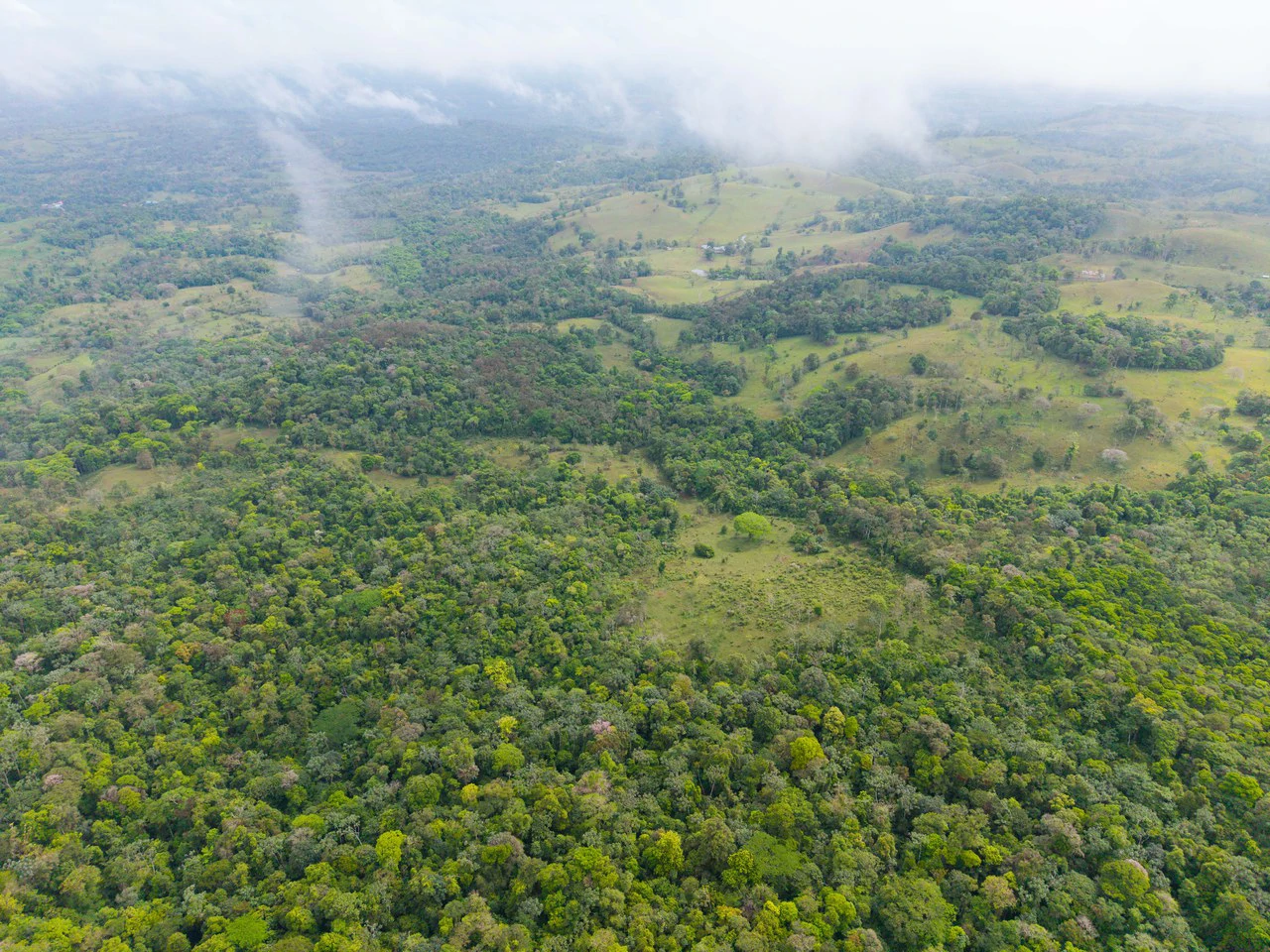 Finca Las Zompopas-Río Celeste: 113-Acre Biodiverse Property in Bijagua, Ideal for Eco-Tourism, Private Retreats, or Sustainable Development - Gallery image 24