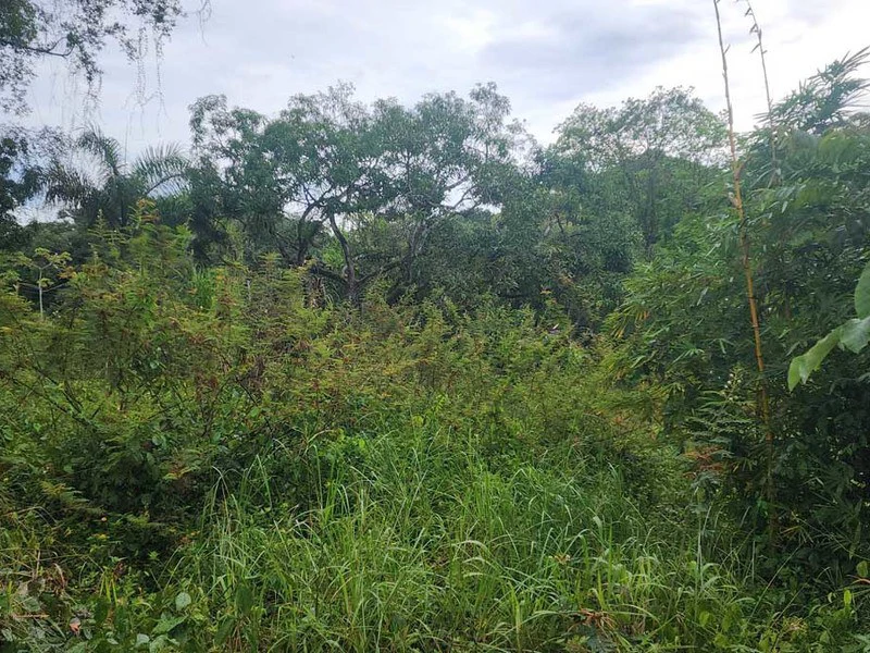 Subdividable lot in Manuel Antonio - Gallery image 8