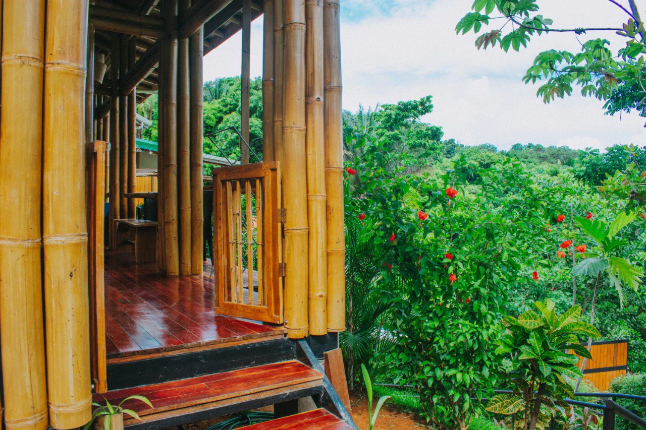 Cabinas Bambura: Cabinas Bambura: Successful Airbnb Business with Stunning Mountain & Jungle View - Gallery image 14