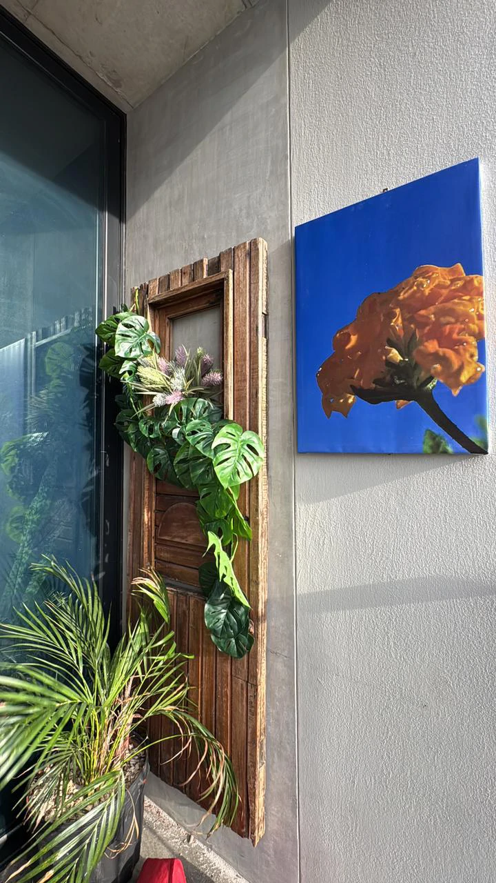 Apartamento URBN:    Luxury Apartment at URBN Escalante — Style, Location & Urban Life Costa Rica - Gallery image 5