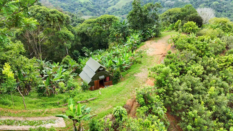 Finca Makambu: Countryside, Mountain, Near the Coast and Riverfront Property For Sale in Barú - Gallery image 5