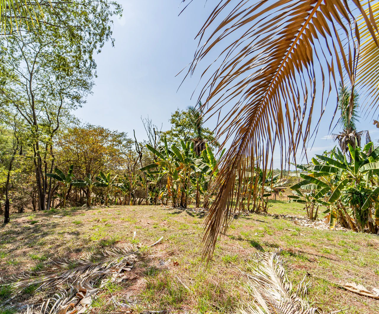 Lote Camaronal Natural: Half Acre Lot Just Mins to the Surf - Gallery image 4
