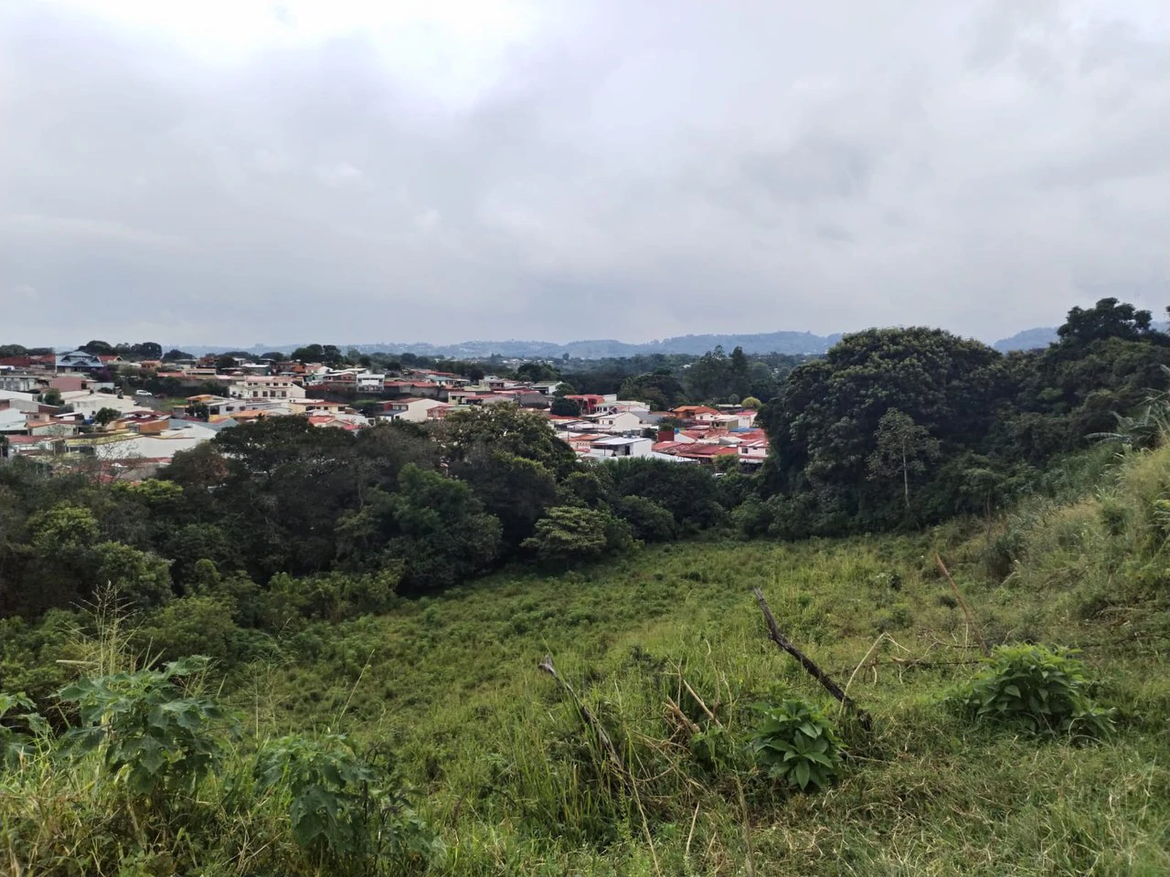 Farm in Desamparados, Alajuela: Ideal for Developers with Permits and Potential for 46 Lots - Gallery image 3