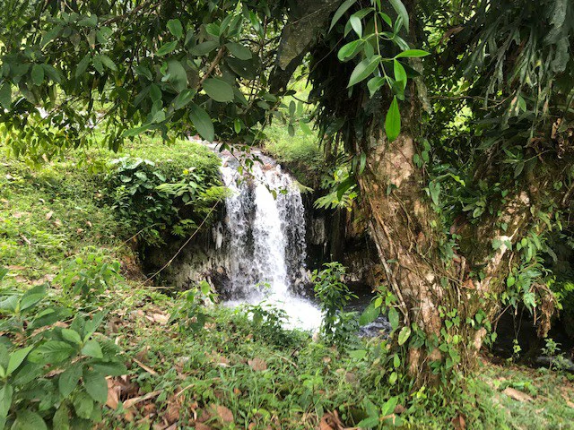 Cold & Hot springs surrounded by an overgrown farm, taken back by nature - Gallery image 11