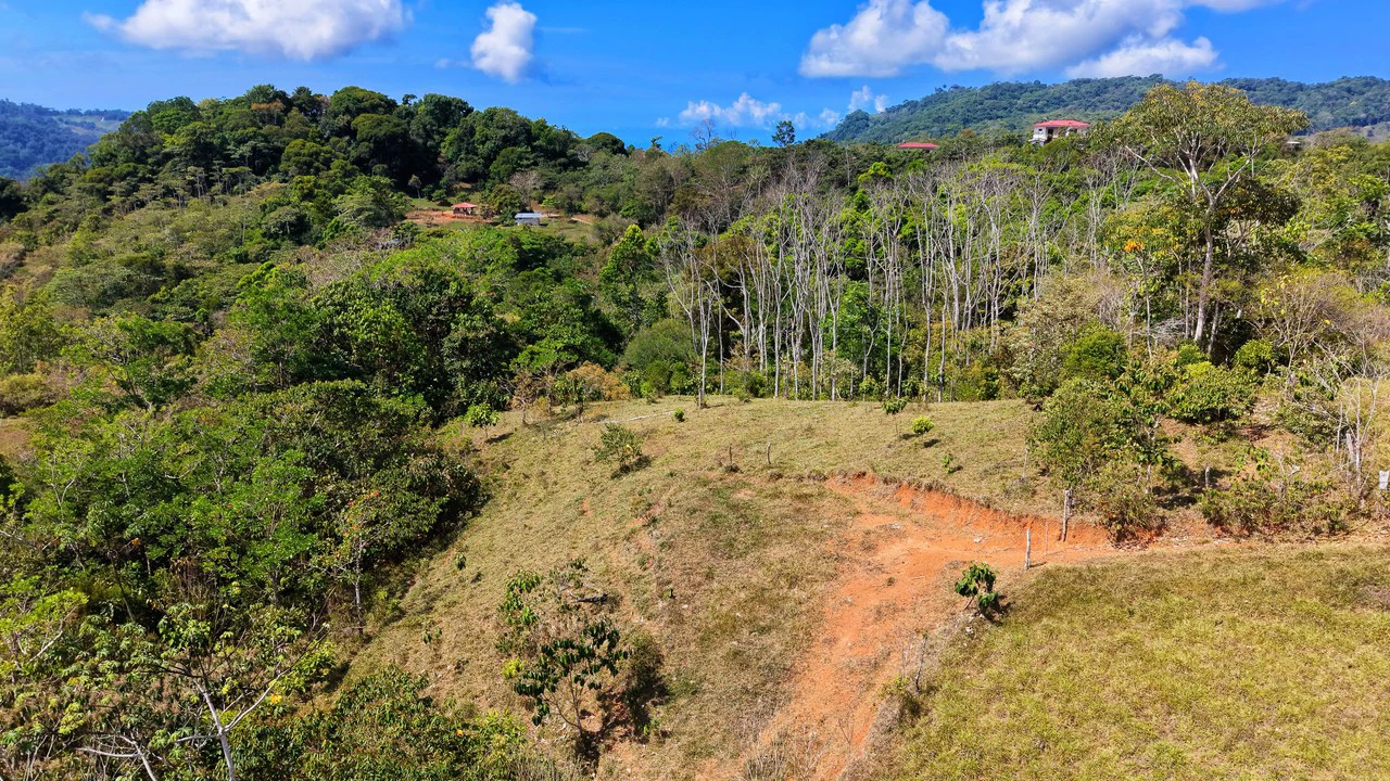 2.8 HA FARM FOR SALE IN SAN LUIS DE MORETE | MOUNTAIN VIEWS AND NEAR THE OCEAN - Gallery image 18