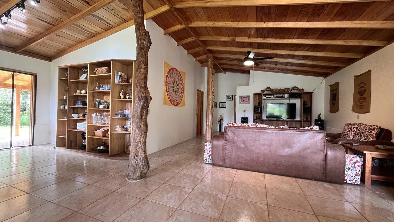 Mountain House For Sale in San Isidro del General - photo 17