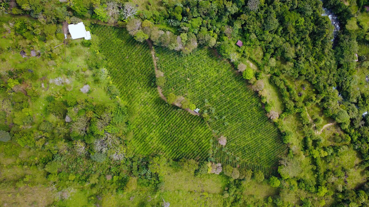 Countryside Home Construction Site For Sale in Santa Elena de San Isidro - Gallery image 5
