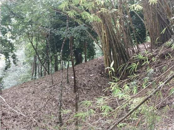 Home Construction Site For Sale in Jacó - Gallery image 3
