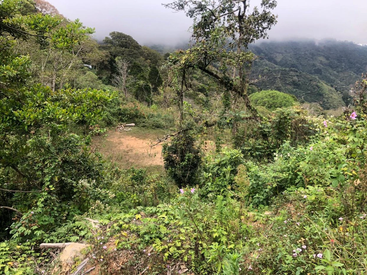Home Construction Site For Sale in Tarbaca - Gallery image 3