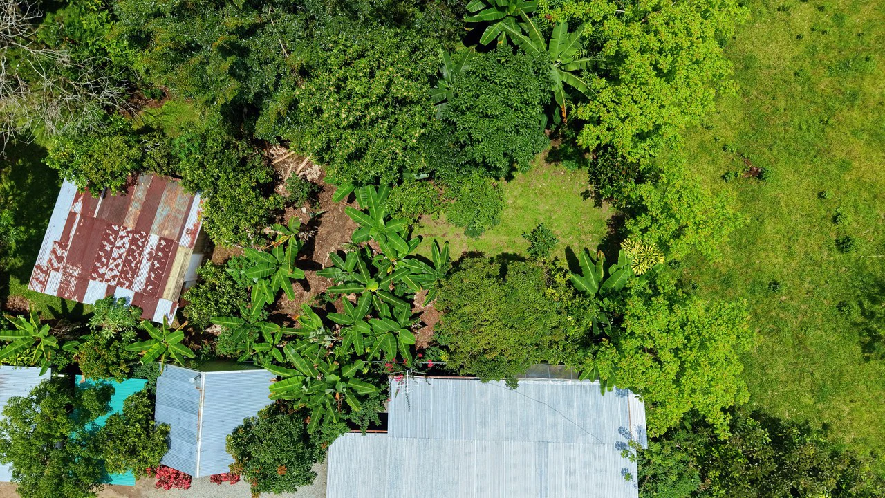 LOTE PLANO CON FRUTALES: Mountain Home Construction Site For Sale in General Viejo - Gallery image 19