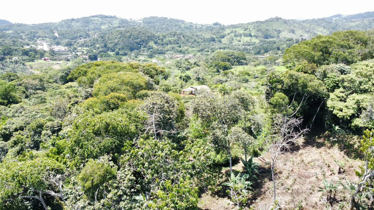 Propiedad en San Rafael de Platanares, Costa Rica: Mountain Home Construction Site For Sale in San Rafael - Gallery image 7